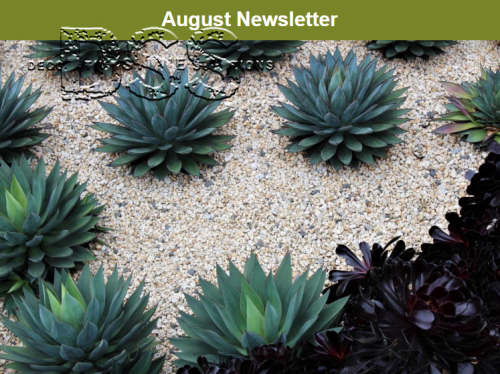 August Newsletter 2019
