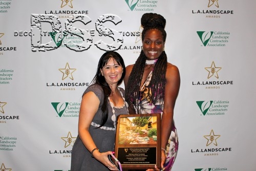 DSS presents Special Effects Award