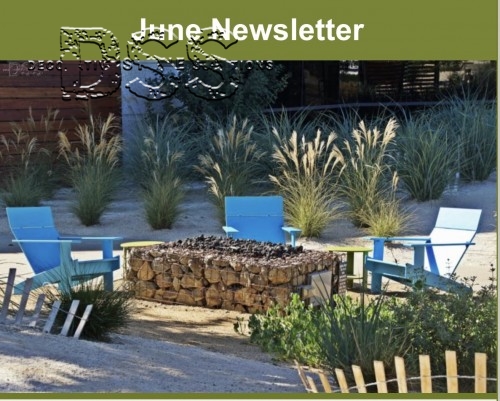 June Newsletter 2019