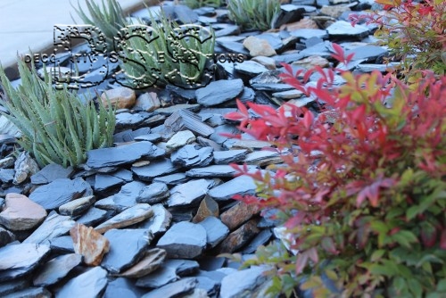 XPO Park Living Featuring Carbon Slate
