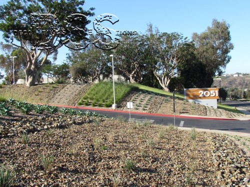 Large scale turf reduction projects