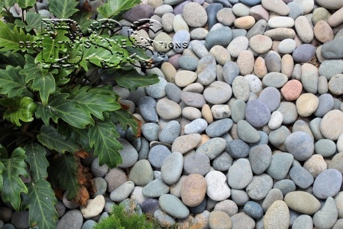 Mixed Mexican Beach Pebbles- a great way to renovate interior or exterior spaces