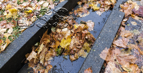 Stormwater Management for Residential Properties: Tips and Tricks