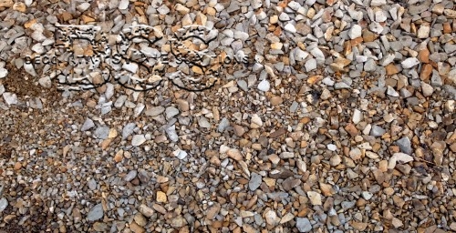 Maintaining Decomposed Granite: Tips for Long-Term Durability