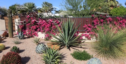 Transforming Your Landscape with California Gold Decorative Gravel