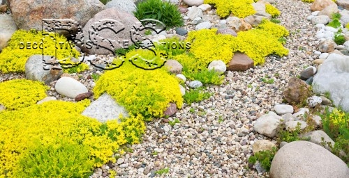 Benefits of Using Arizona River Rock Decorative Gravel in Landscaping.