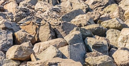 Creative Ways to Incorporate Large Landscape Rocks in Your Outdoor Space