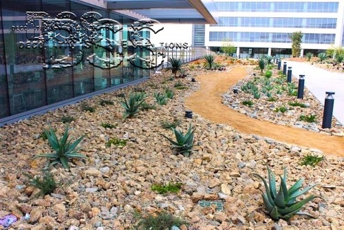 New Fire Safety Rules May Impact Your Landscaping Choices