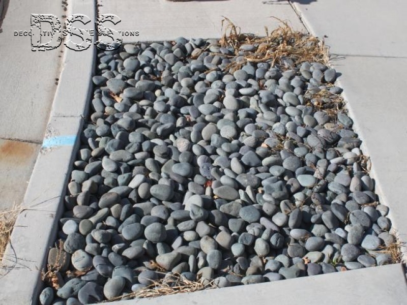 Landscape Fabric FAQ - When to use Weed Tarp