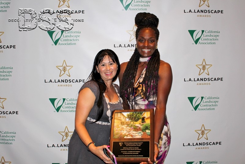 DSS presents Special Effects Award