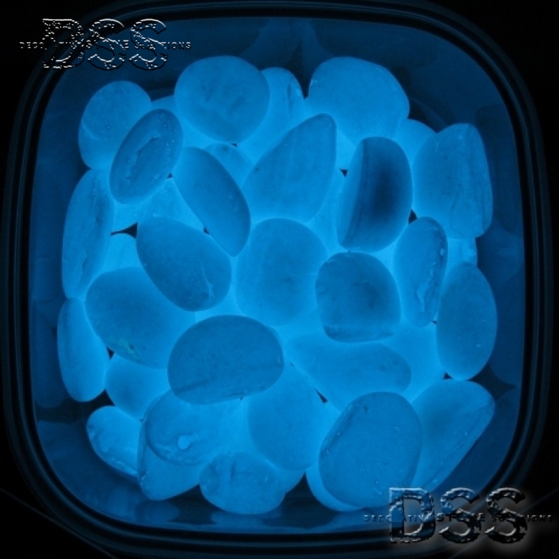 Search form Glow In The Dark Rocks for the Holidays?