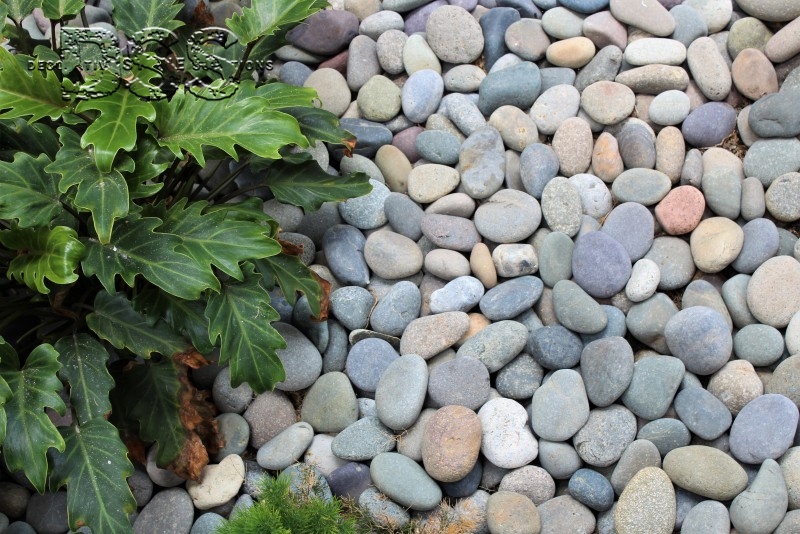 Mixed Mexican Beach Pebbles- a great way to renovate interior or exterior spaces