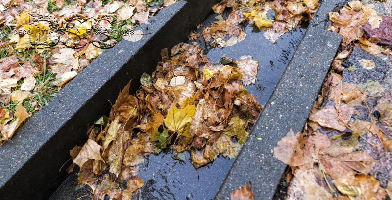 Stormwater Management for Residential Properties: Tips and Tricks
