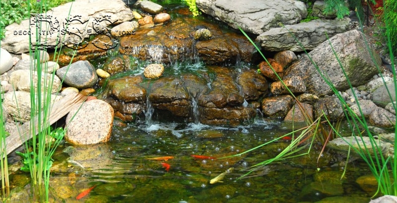 Benefits of Using Rock for Landscaping