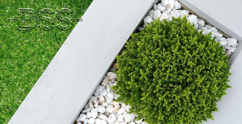 Creative Ideas for Using White Play Sand in Landscaping