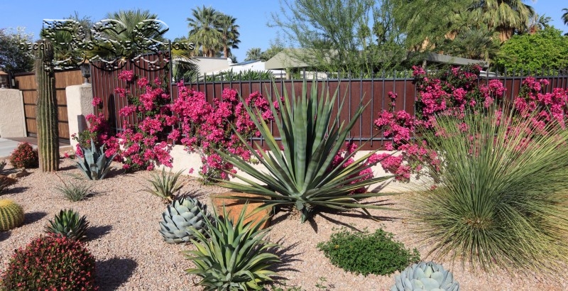 Transforming Your Landscape with California Gold Decorative Gravel