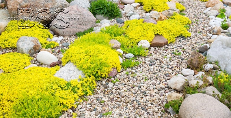 Benefits of Using Arizona River Rock Decorative Gravel in Landscaping.