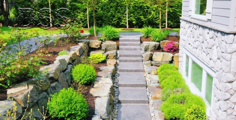 The Beauty of Canyon Clay Rubble: A Unique Landscape Element