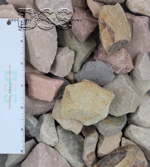 Neapolitan - 1.5 inch