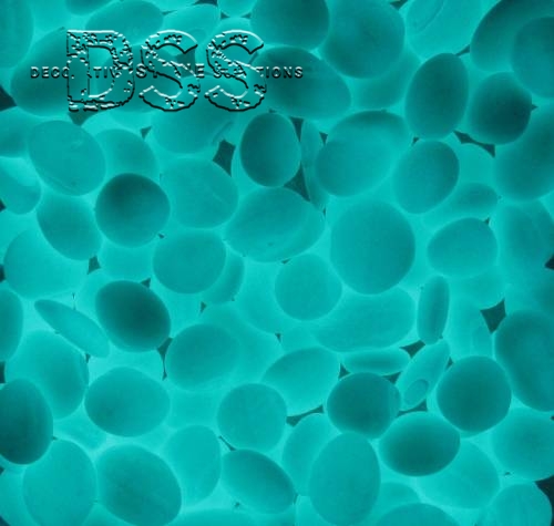 Glow in the Dark Pebble - Blue Green - 1 to 2 inch