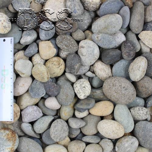 Oasis Pebble - 1 and a half inch