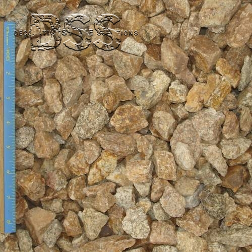 Trophy Gold - 1 inch