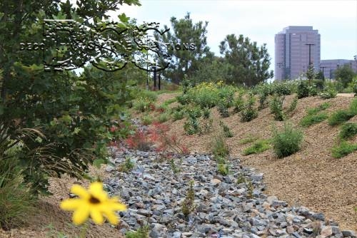 UCSD Center for Novel Therapuetics