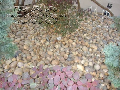 Santa Monica Caldera Cobble