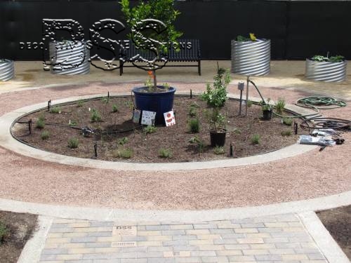 City of Perris Community Garden