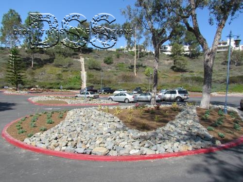 Lake Mission Viejo Turf Reduction