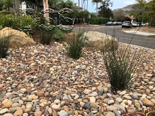 Catalina Street Roundabout
