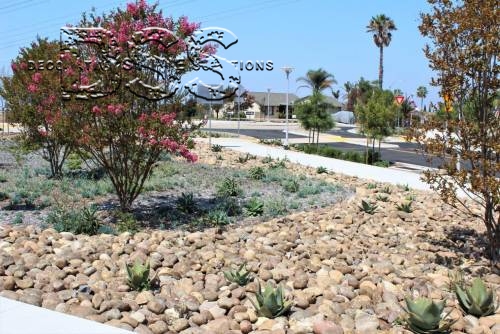 Cal Trans Project - East Palomar Transit Station