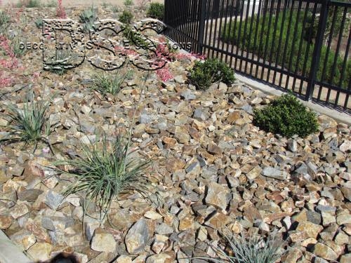 Project Capricorn Streetscape and Bio Retention Basin