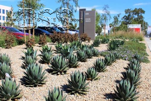 Hines Intersect - Irvine Office Park