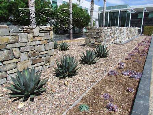 Torrey Ridge Science Center