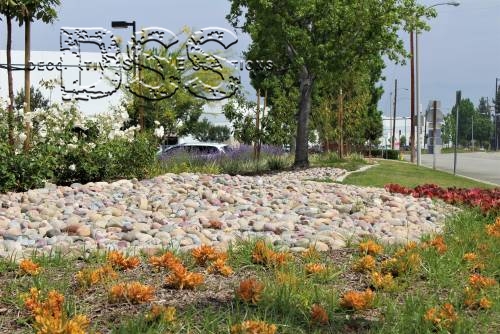 Chino Crossroads Business Park